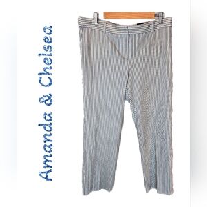 Amanda & Chelsea Womens Pants sz 14 Blue-White Railroad Stripe Modern Fit Ankle